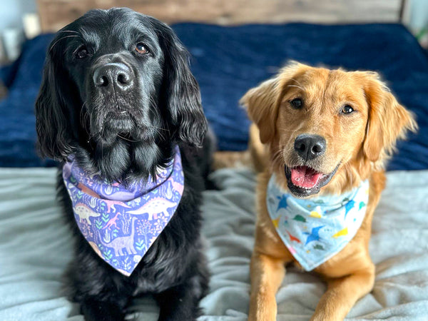 Bandanas