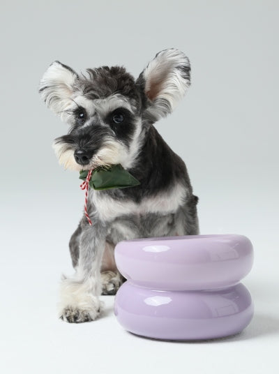 Soufflé Pet Bowl - Purple - FurryTails Haven