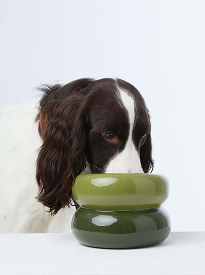 Soufflé Pet Bowl - Avocado Green - FurryTails Haven