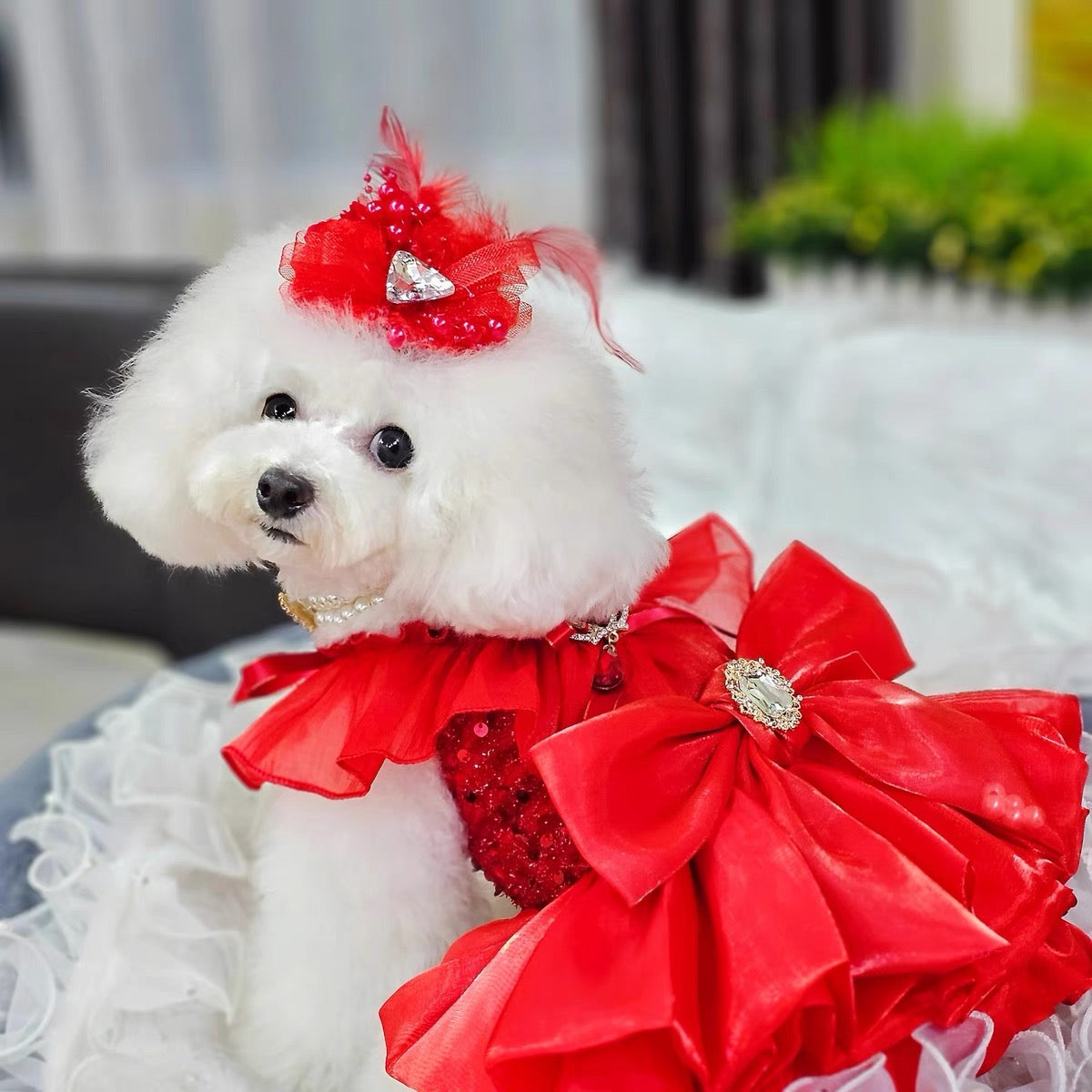 Dog Dress Red Princess with Layered Tulle Skirt