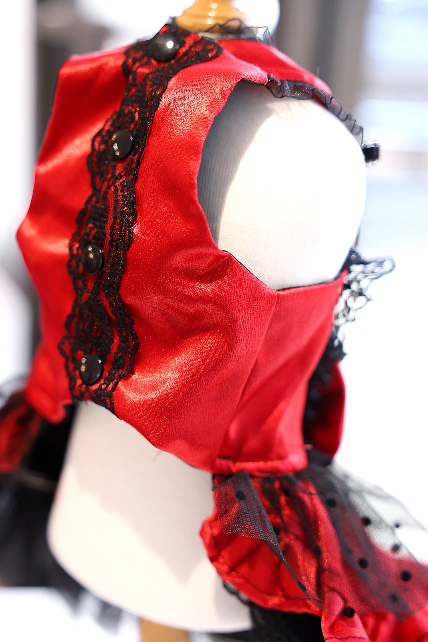 Red Black Gothic Lace Luxury Pet Dress