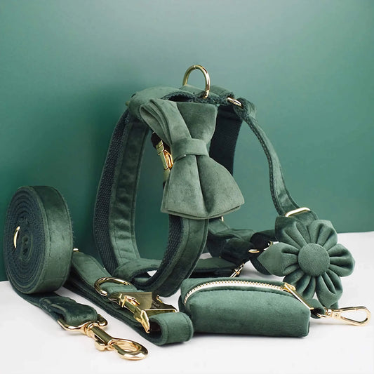 Velvet Forest Teal Set - FurryTails Haven