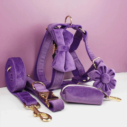 Velvet Purple Set - FurryTails Haven