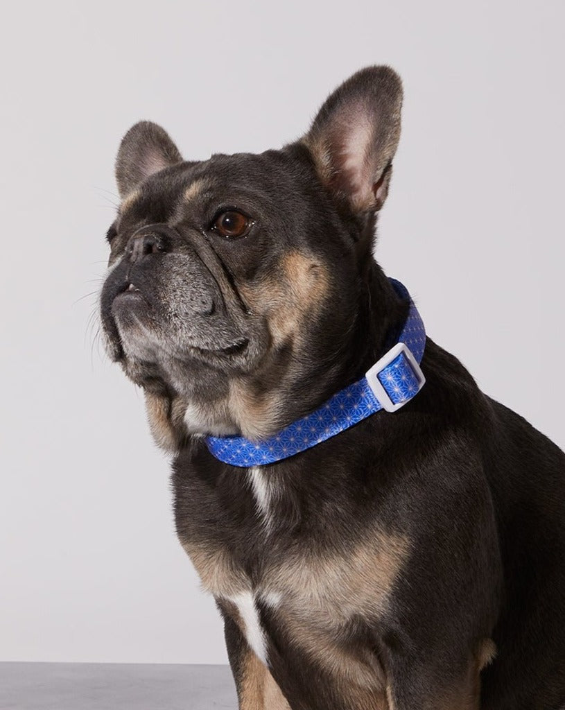Asanoha Dog Collar & Bowtie