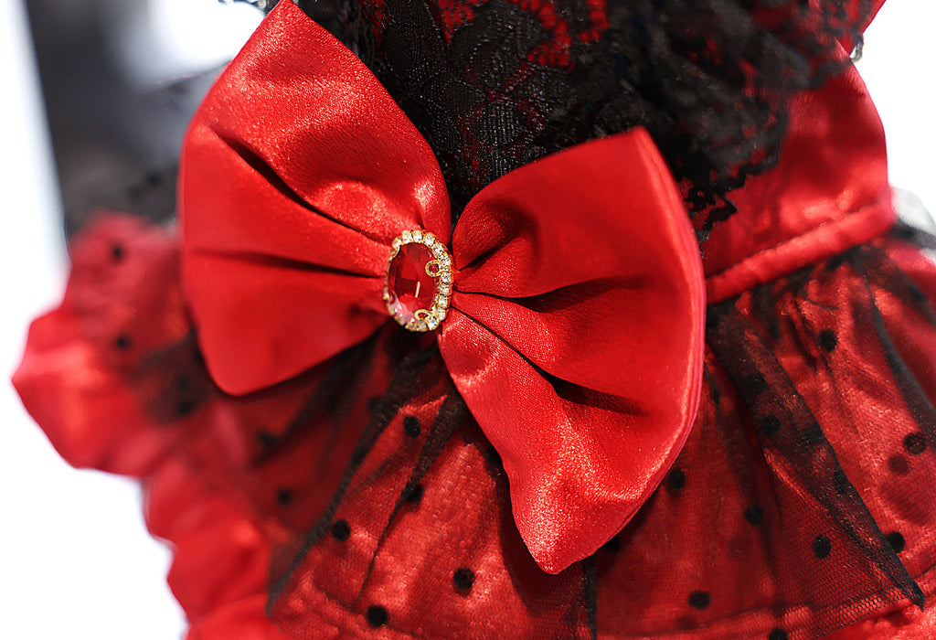 Red Black Gothic Lace Luxury Pet Dress