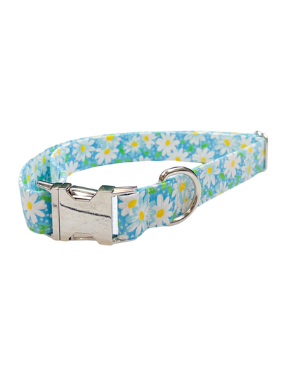 Daisy Chain Collar
