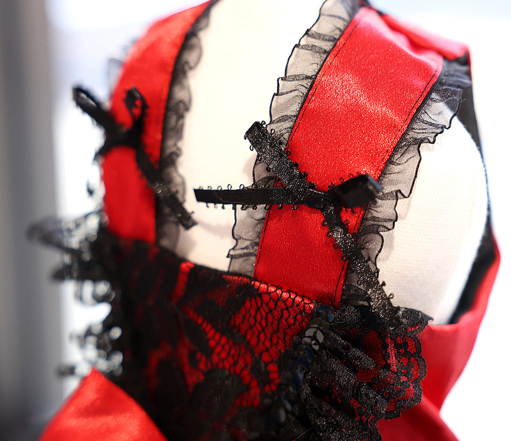 Red Black Gothic Lace Luxury Pet Dress