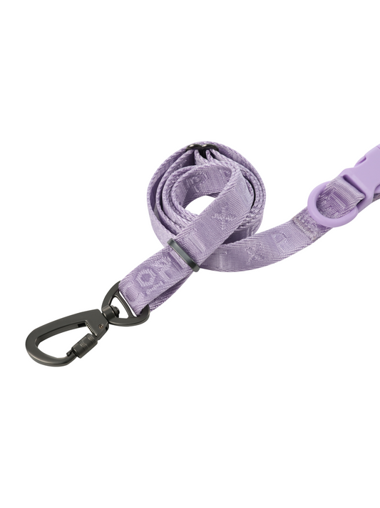 PADDED ACTIVE PET LEASH - MINT PURPLE - FurryTails Haven
