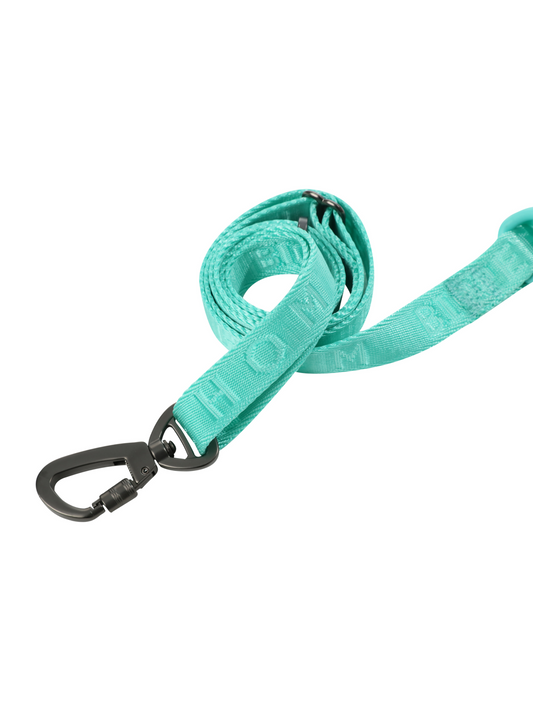 PADDED ACTIVE PET LEASH - MINT GREEN - FurryTails Haven