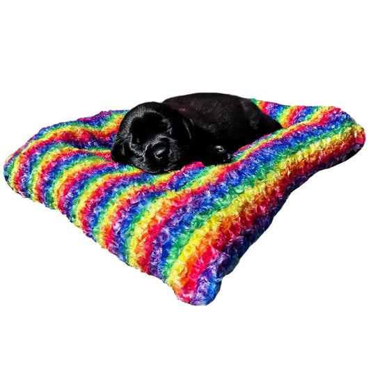 Dog Bed - Rectangle Bolstered Furvana Rainbow 'Cloud' - FurryTails Haven