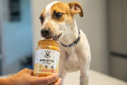 Dawg Butter Pum'kin Puppers Flavor - FurryTails Haven