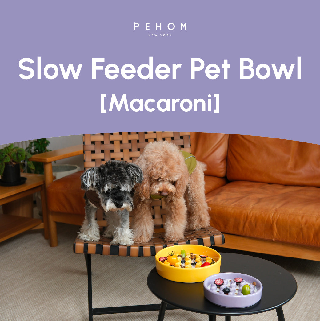 [Macaroni] Slow Feeder Dog Bowls - Yellow / Frozen Blue / Purple - FurryTails Haven
