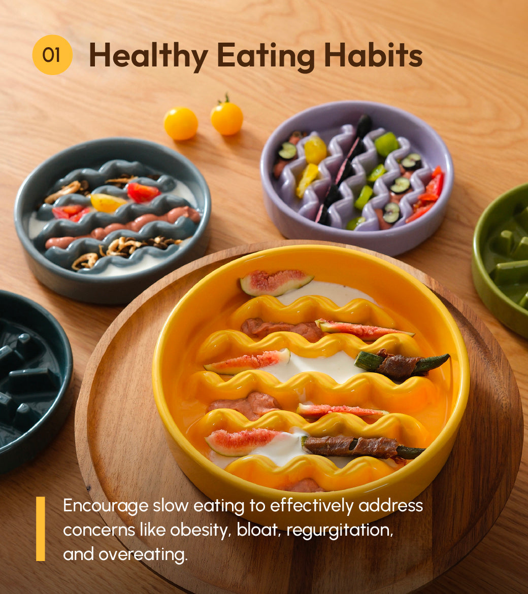 [Macaroni] Slow Feeder Dog Bowls - Yellow / Frozen Blue / Purple - FurryTails Haven