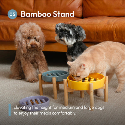 [Macaroni] Slow Feeder Dog Bowls - Yellow / Frozen Blue / Purple - FurryTails Haven