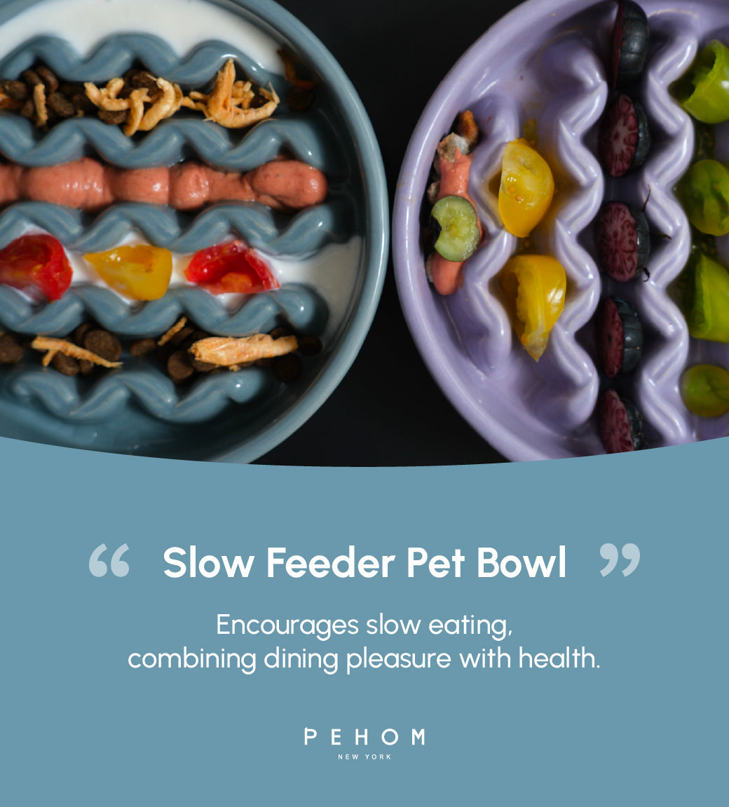 [Macaroni] Slow Feeder Dog Bowls - Yellow / Frozen Blue / Purple - FurryTails Haven