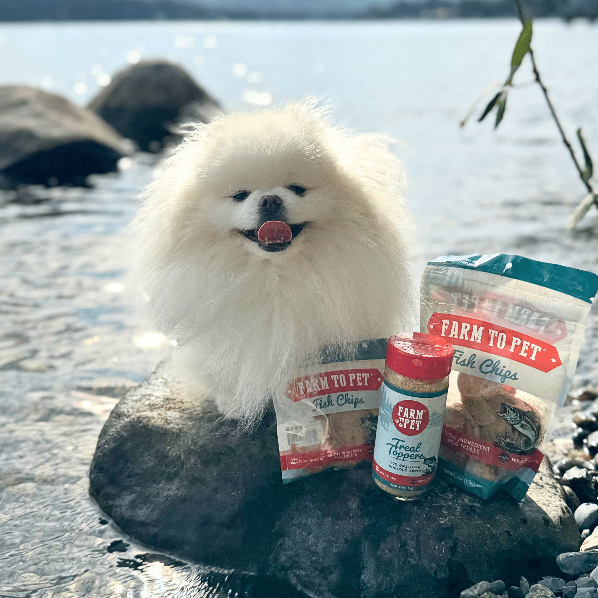 Treat Topper Fish Dog Food Topper | Low-Fat Meal Topper for Pets - FurryTails Haven