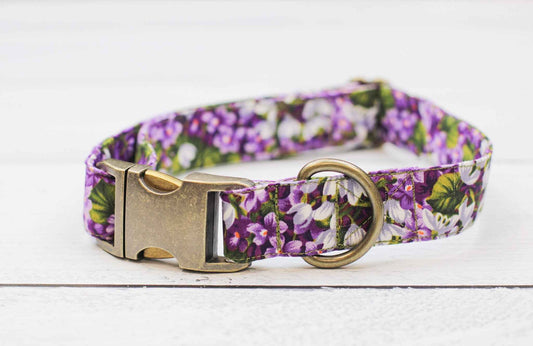 Violet Grove Collar