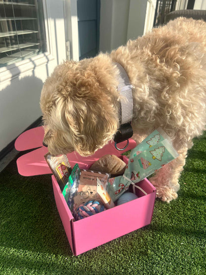 Pawliday Box
