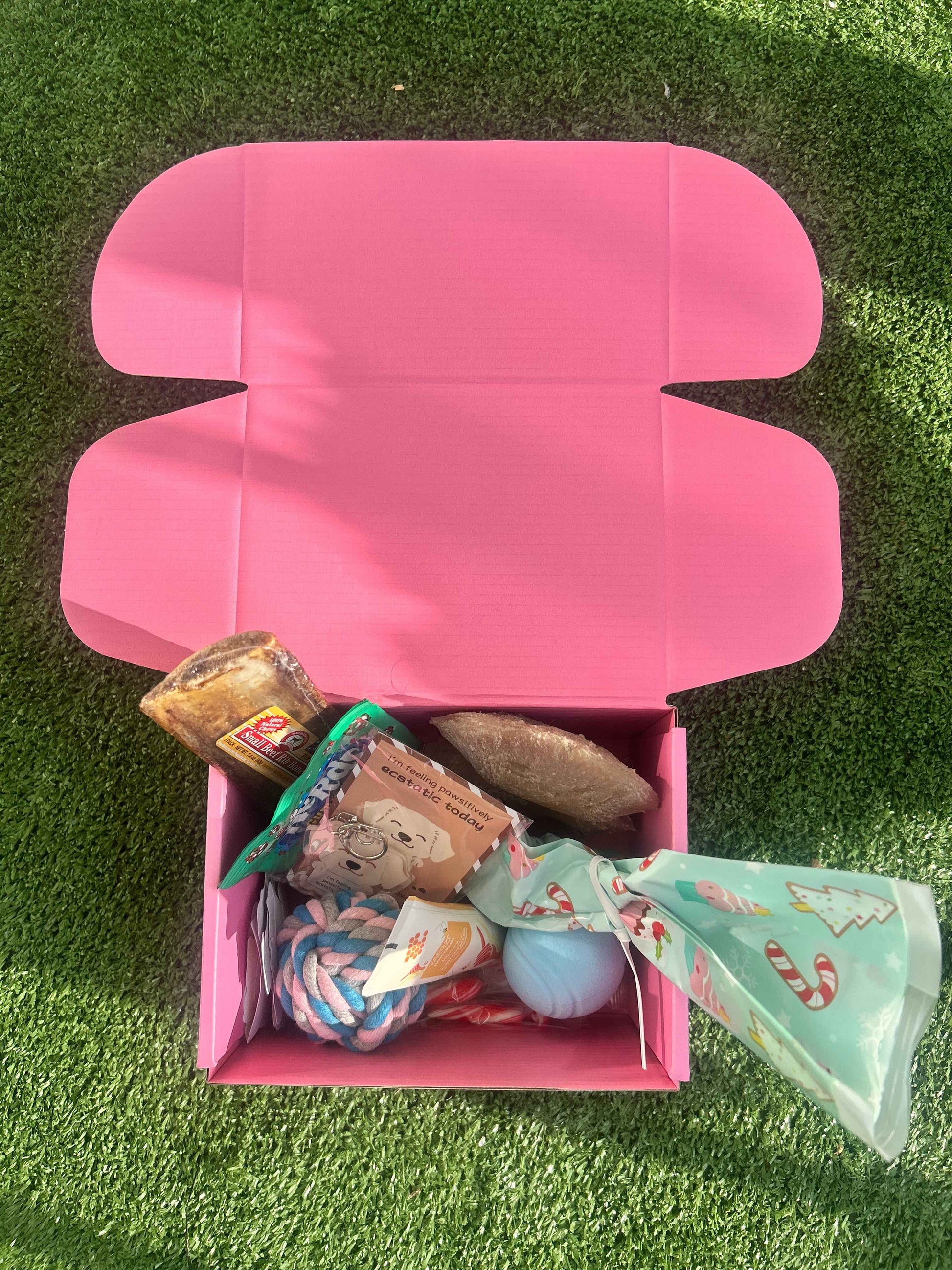 Pawliday Box