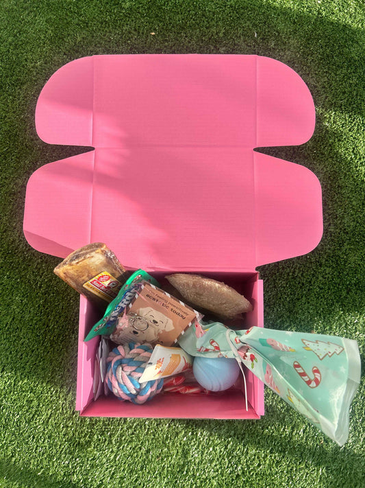 Pawliday Box
