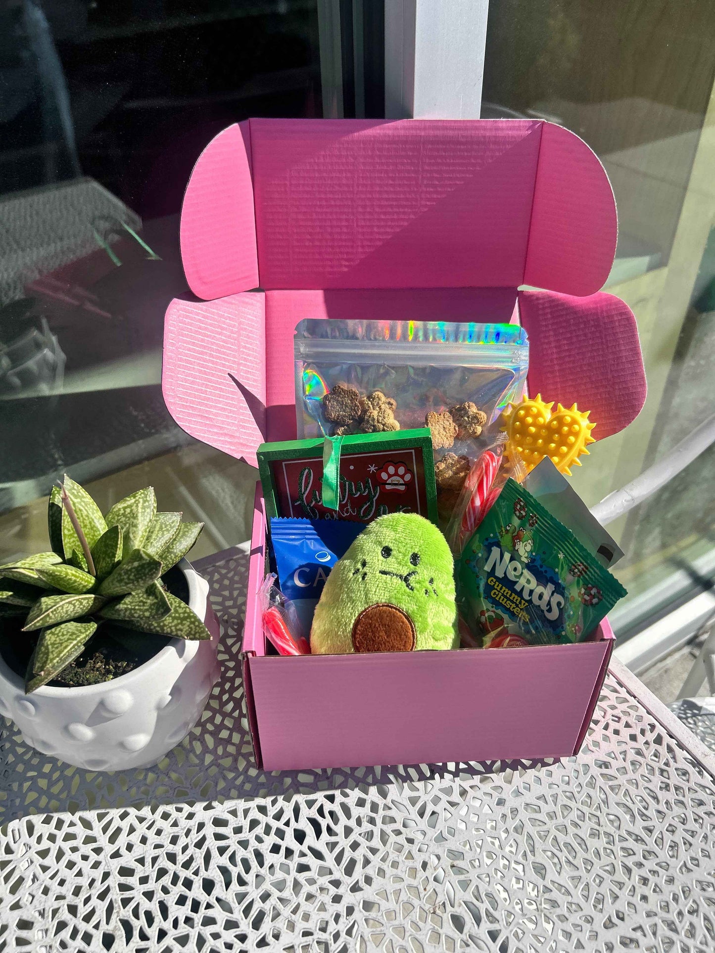 Pawliday Box