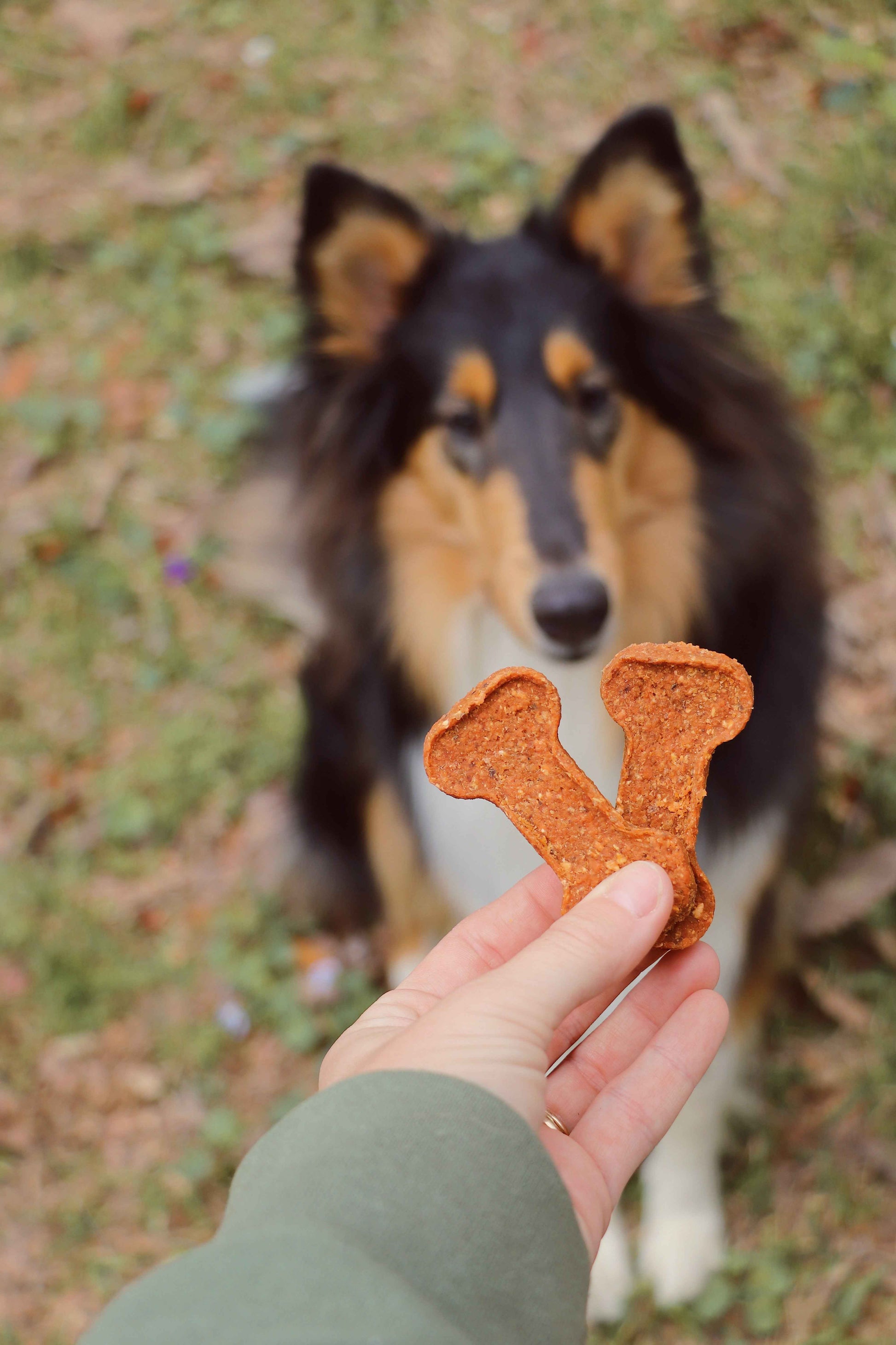 Sweet Potato Bones