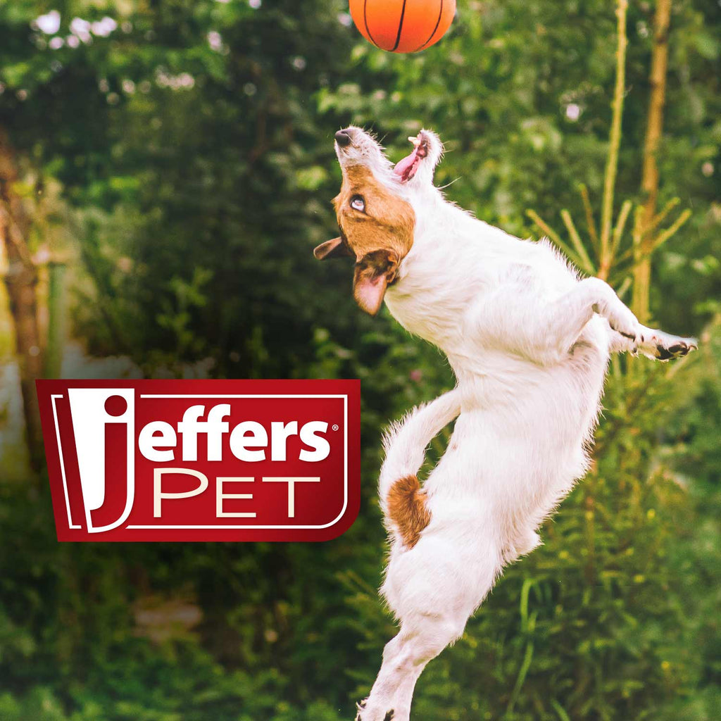 Jeffers Hypoallergenic Moisturizing Pet Shampoo for Sensitive Skin