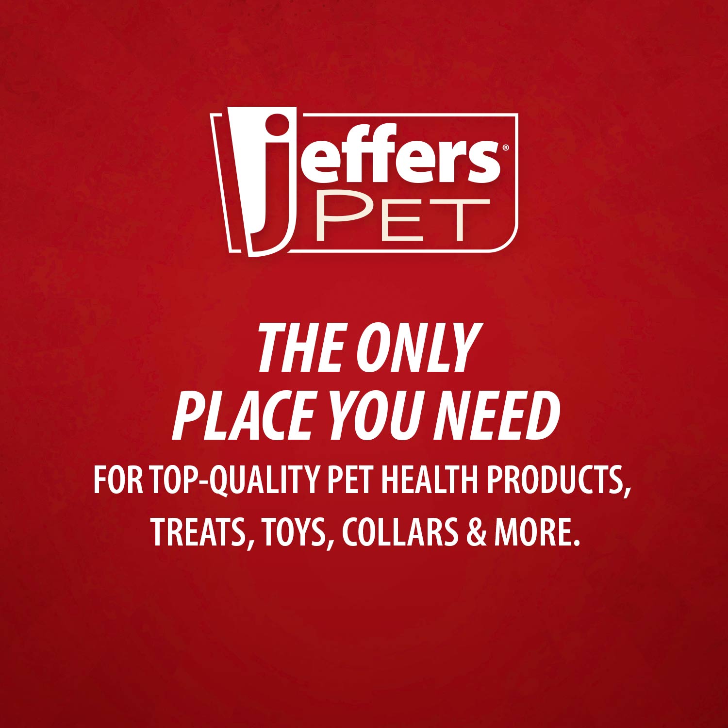 Jeffers Pet Captivating Citrus All-Natural Flea Bite Relief Shampoo for Dogs and Cats
