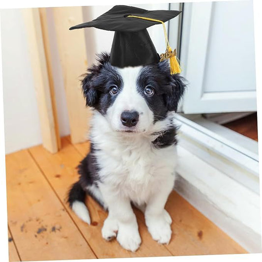 Dog hat graduation cap - FurryTails Haven