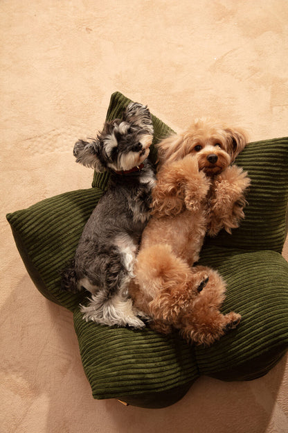 OULU X PEHOM - CUDDLE PET PILLOW BED- Navy Blue / Olive Green / Canyon Brown - FurryTails Haven