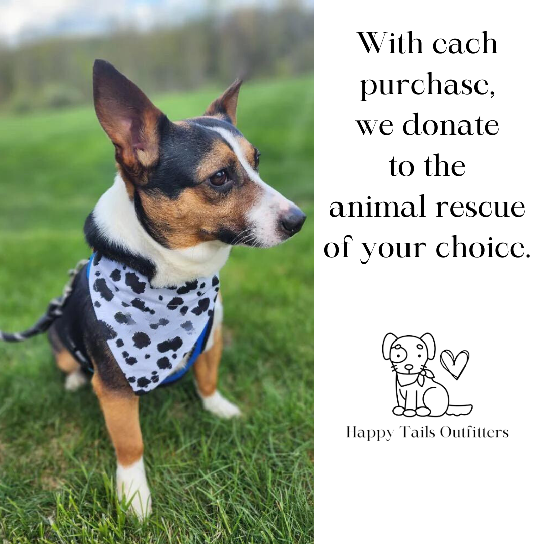 Adopt Me I'm A Foster Tie Dye Dog Bandana New Arrival - FurryTails Haven