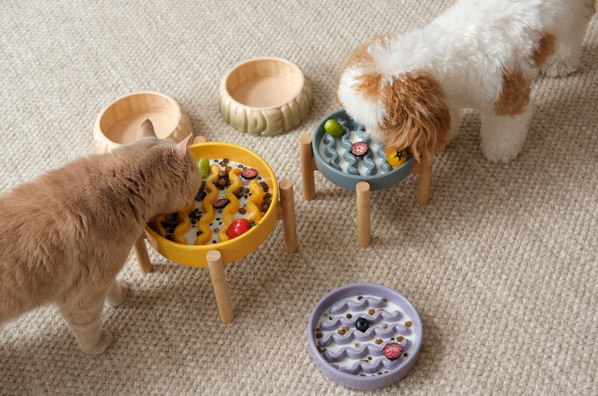 [Macaroni] Slow Feeder Dog Bowls - Yellow / Frozen Blue / Purple - FurryTails Haven