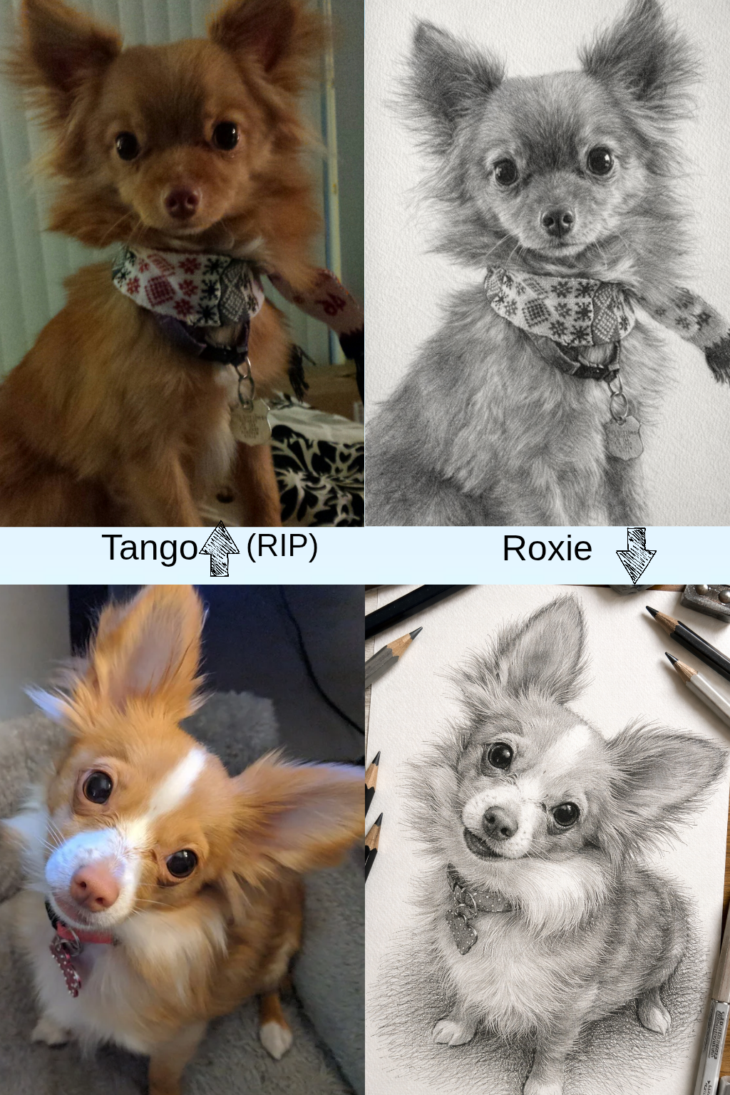 Sketches - FurryTails Haven