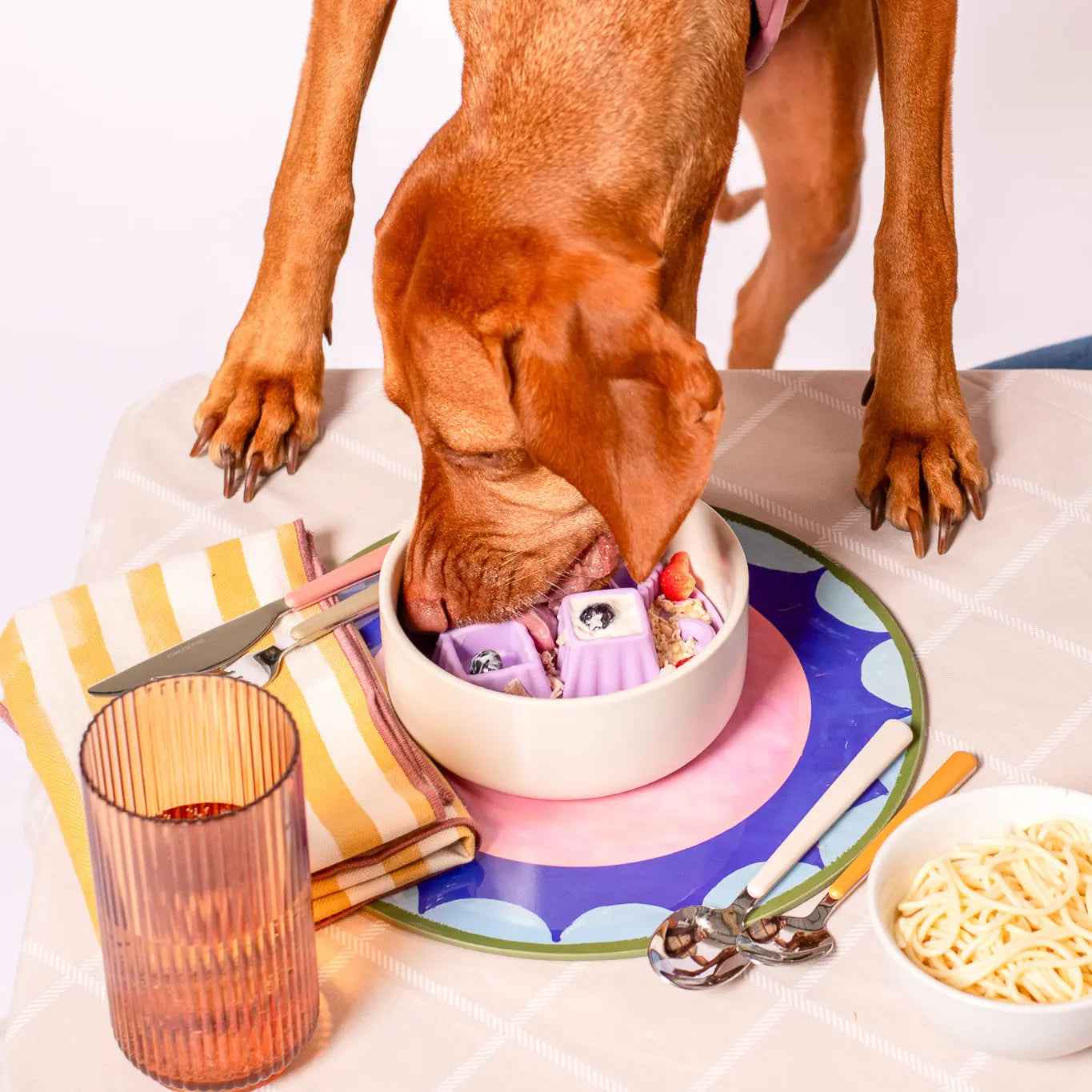 Snackaroni Slow Feeder Insert & Lick Mat