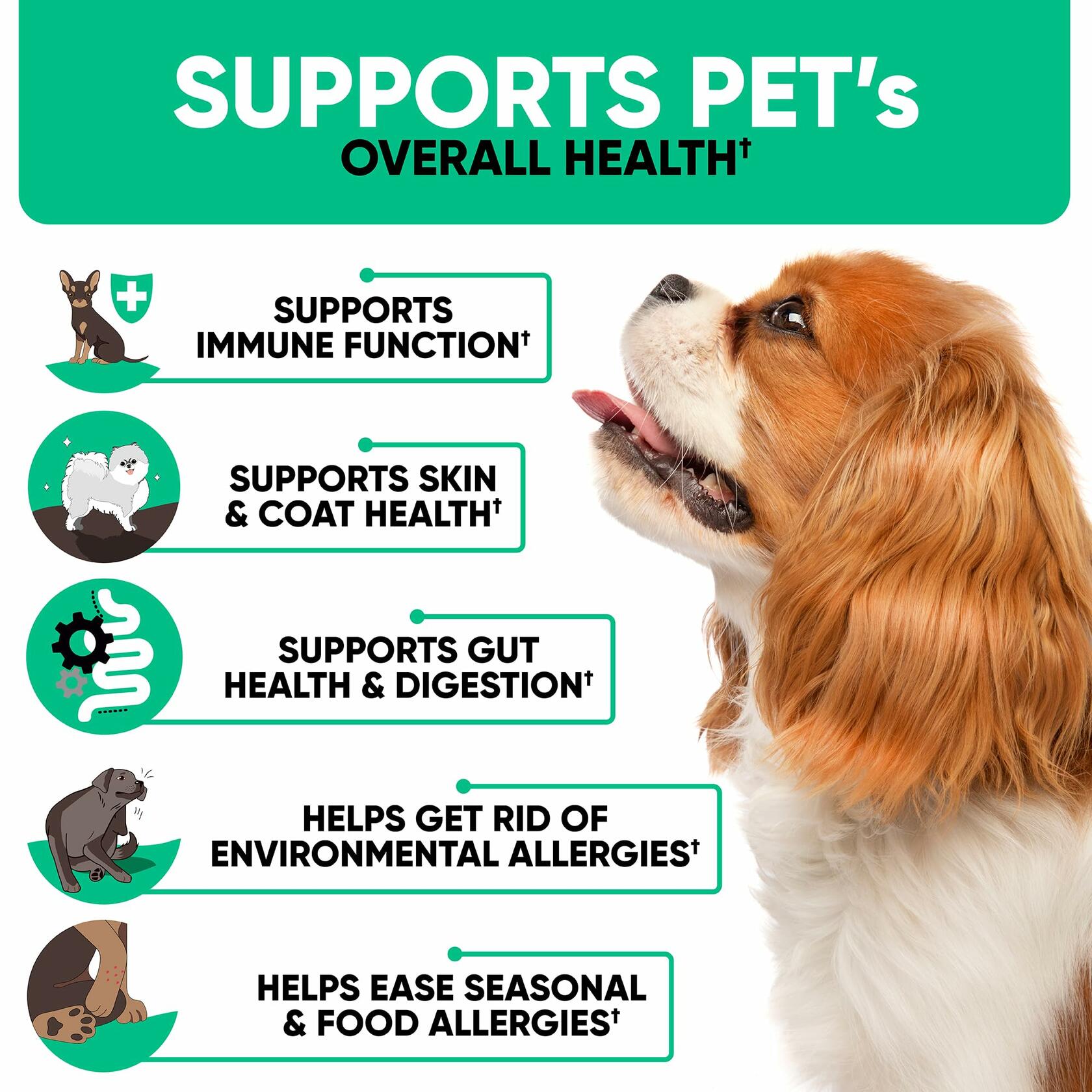 Kinpur Pet Care Natural Dog Allergy Chews 180 Treats Itch Relief