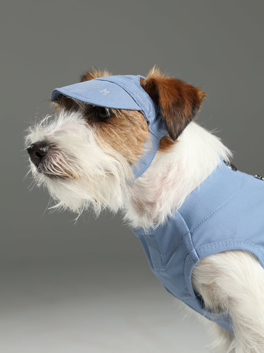 TENNIS HAT - BLUE - FurryTails Haven