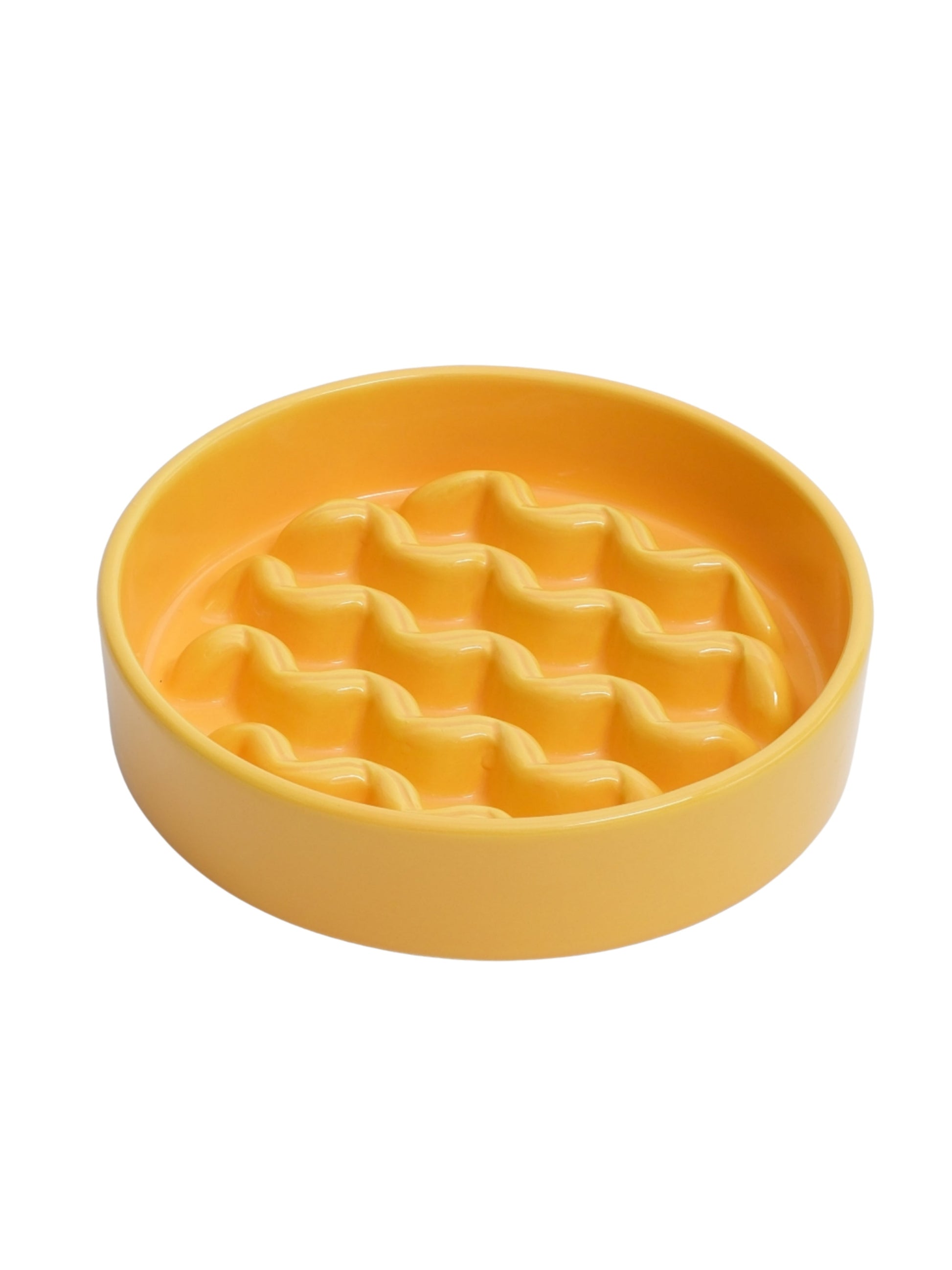 [Macaroni] Slow Feeder Dog Bowls - Yellow / Frozen Blue / Purple - FurryTails Haven