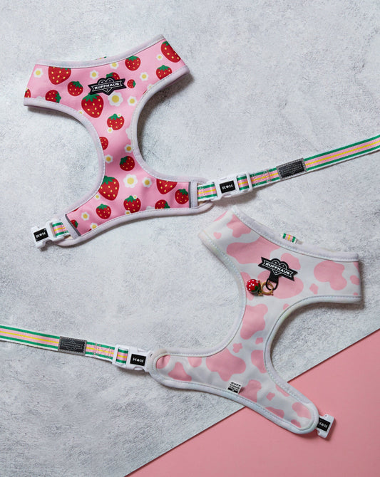Two pink dog harnesses with strawberry and cow print designs on a textured surface